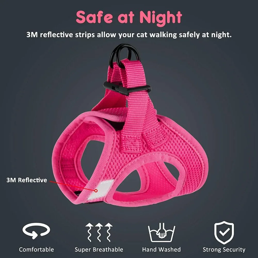Kitten harnesses and leash set